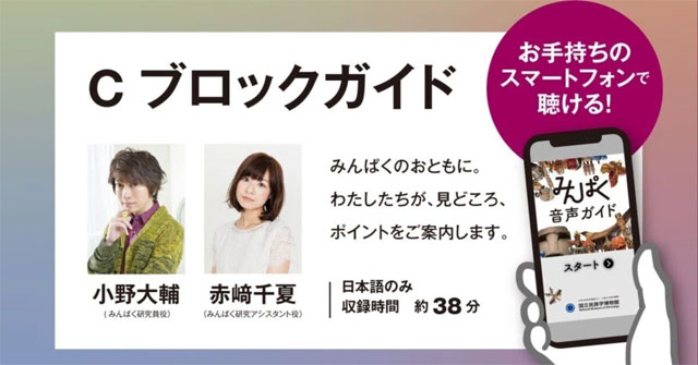 みんぱく音声ガイド①✨ 小野大輔さん、赤﨑千夏さんインタビュー